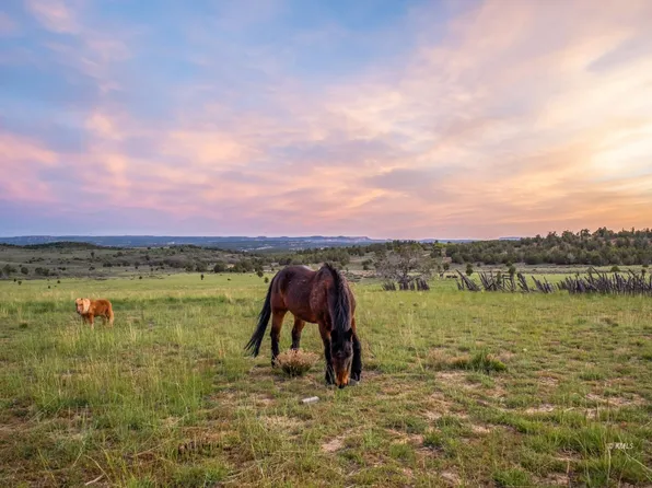 403 & 409 N Mineral Springs Rd, Orderville, UT 84758