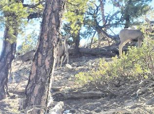 6297 Rainbow Trl, Show Low, AZ 85901