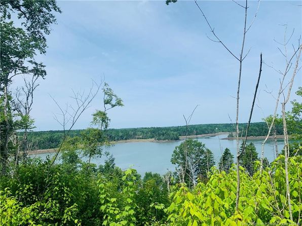 81 Bunker Hill Rd #85, Campobello Island, NB E5E 1Z3