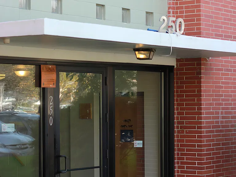 310 Fuller Ave #3 — Photo 19