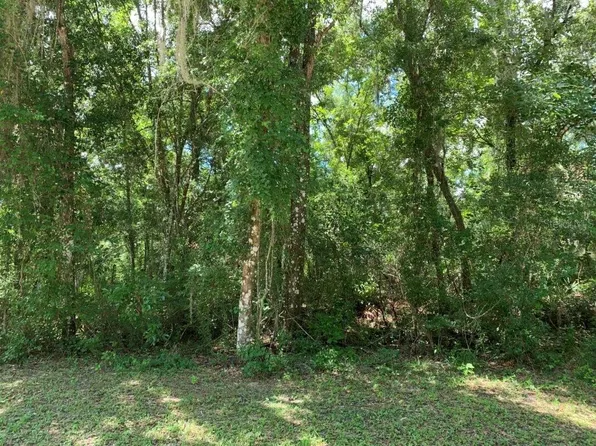 7335 PACKINGHAM DRIVE, WEBSTER, FL 33597