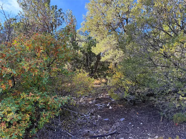 9 Peterson Rd, Edgewood, NM 87015