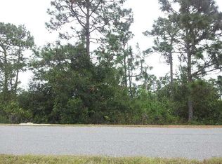 20575 Racine St, Orlando, FL 32833