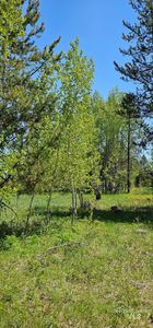 174 Meadow Pl, Donnelly, ID, 83615