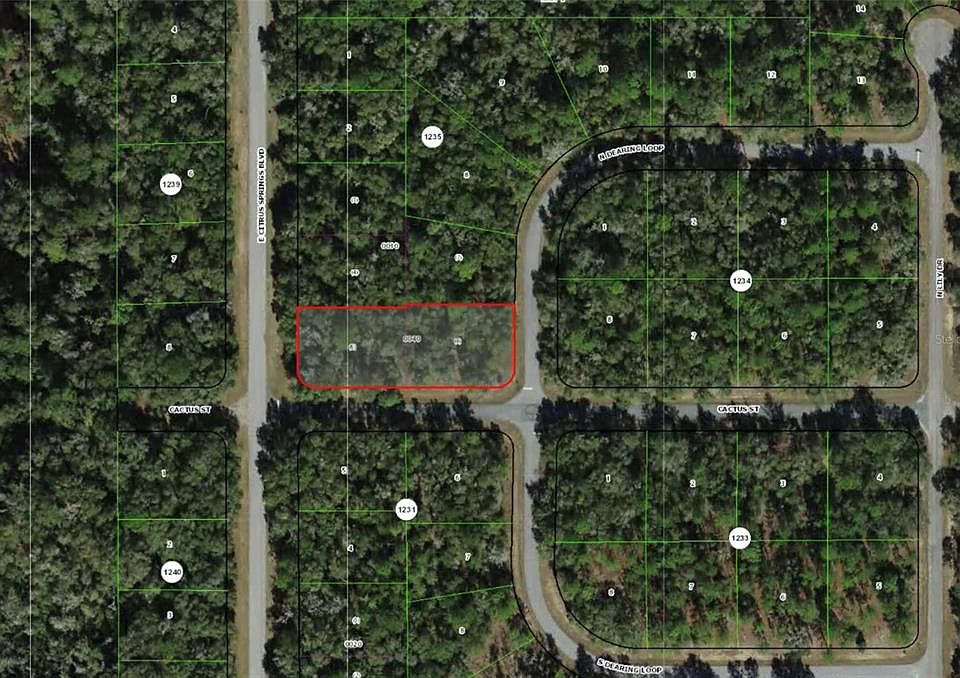 1st image of 2054 E CITRUS SPRINGS BOULEVARD LOT 4