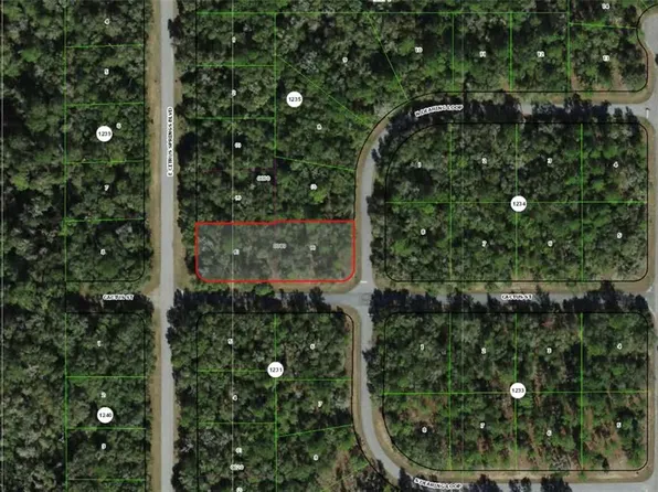 2054 E Citrus Springs Blvd #4, Dunnellon, FL 34434