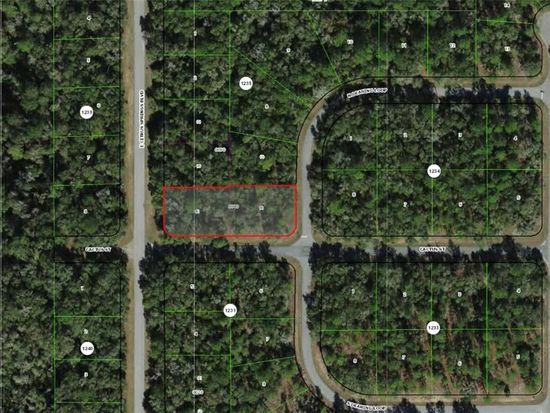 2054 E CITRUS SPRINGS BOULEVARD LOT 4, Dunnellon, FL 34434