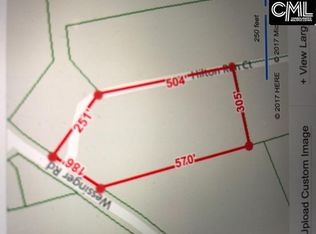 100 Hilton Run Ct, Chapin, SC 29036