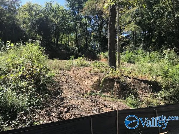 3229 Creek Path Rd, Guntersville, AL 35976