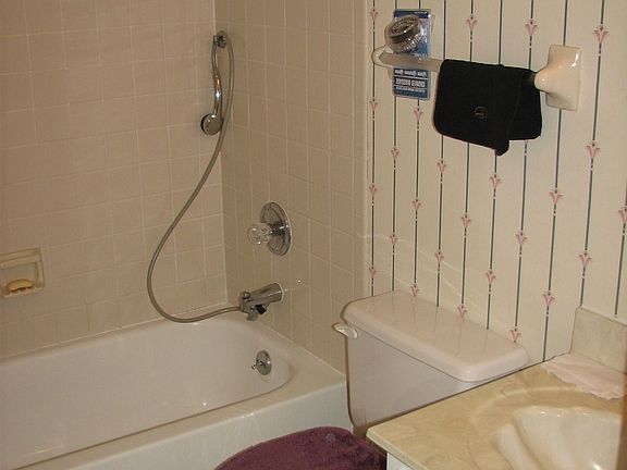 Hall bathroom