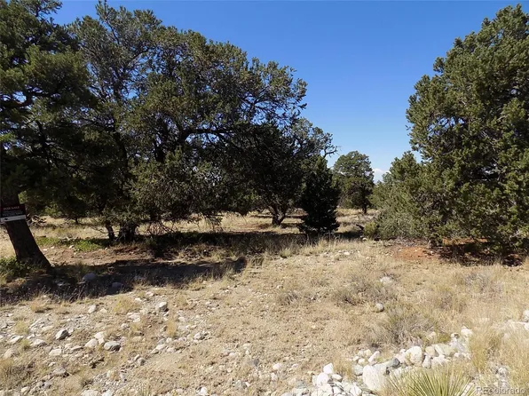 Mill Run Road, Mosca, CO 81146