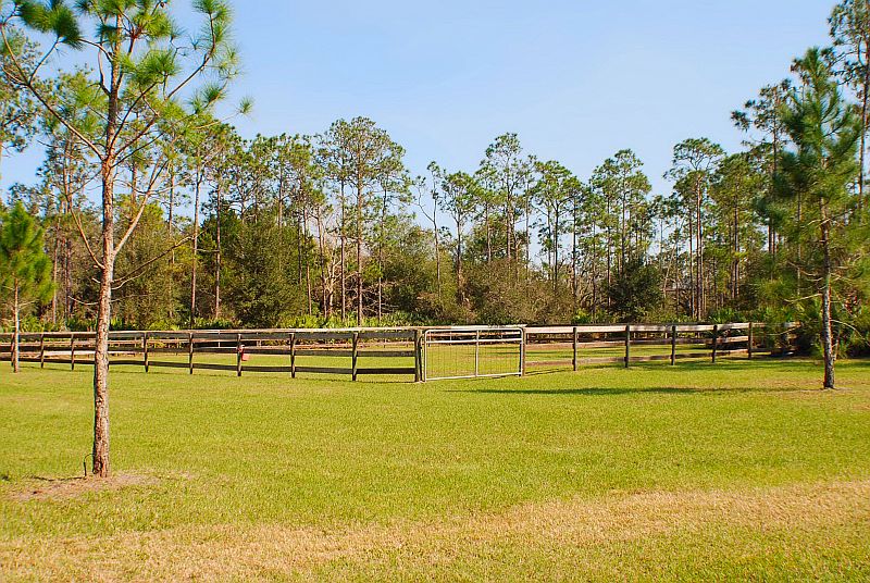 2nd image of 32801 Highway 441 N #103