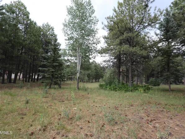 1958 FERRET Circle #260, Forest Lakes, AZ 85931