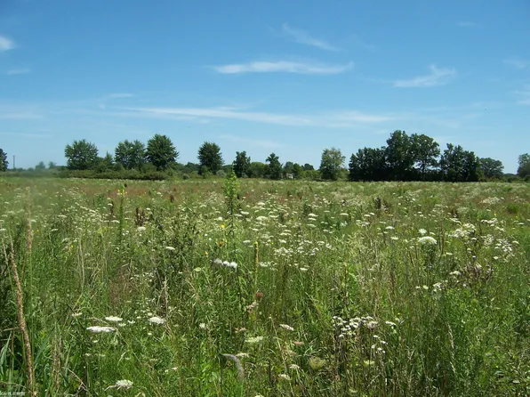 LOT Calvin Rd #C, Memphis, MI 48041