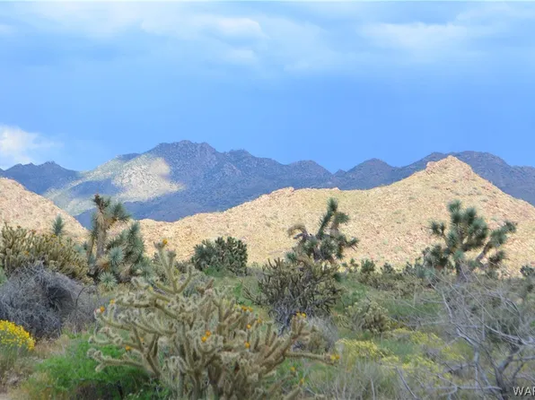 11135 S Kinard Rd, Yucca, AZ 86438