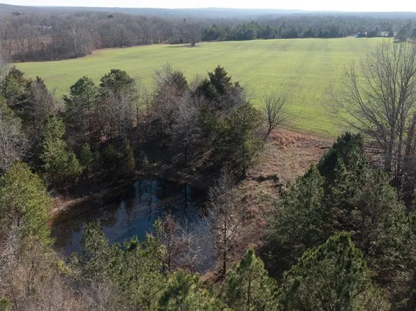 0 Off Beach Gln #810, Glenallen, MO 63751