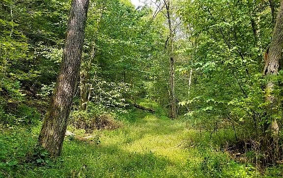 4th image of E1578 State Highway 82
