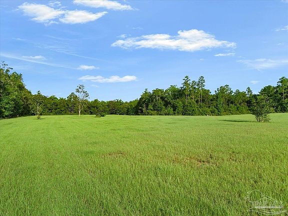 4th image of Gin Rd