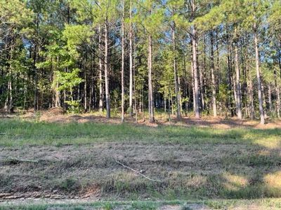 3 Round Mountain Rd, Conway, AR, 72034