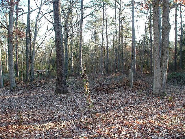 1st image of 1429 Tanyard Creek Dr