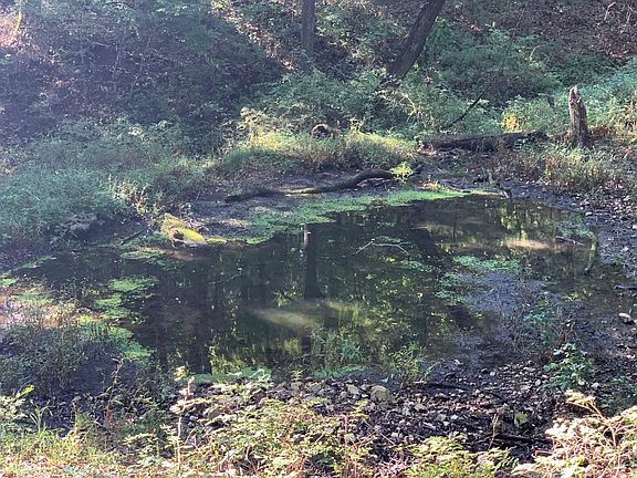 3rd image of 1550 State Highway Hh