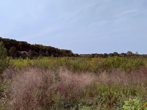 LOT 1 Munger Rd, Ypsilanti, MI 48197