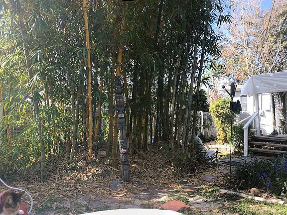 Bamboo garden contained in b