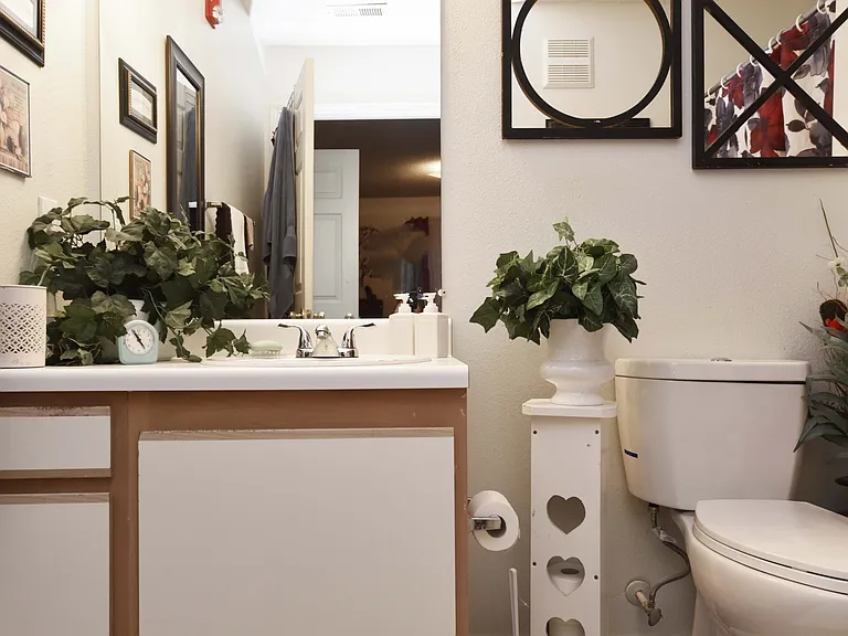 Bathroom area