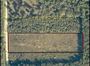 233RD Road, Dowling Park, FL 32060