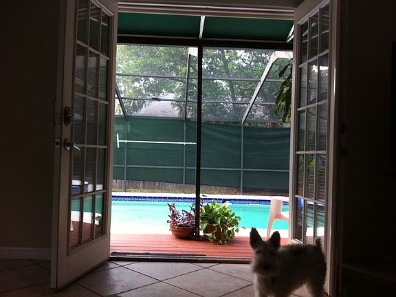 Master (Dog not included)