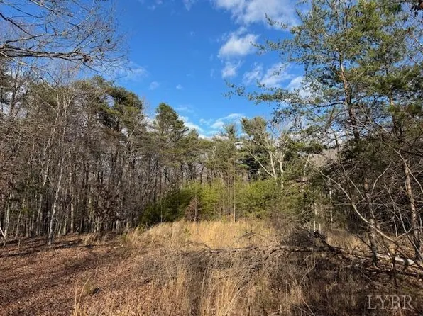Tolers Ferry Rd, Huddleston, VA 24104