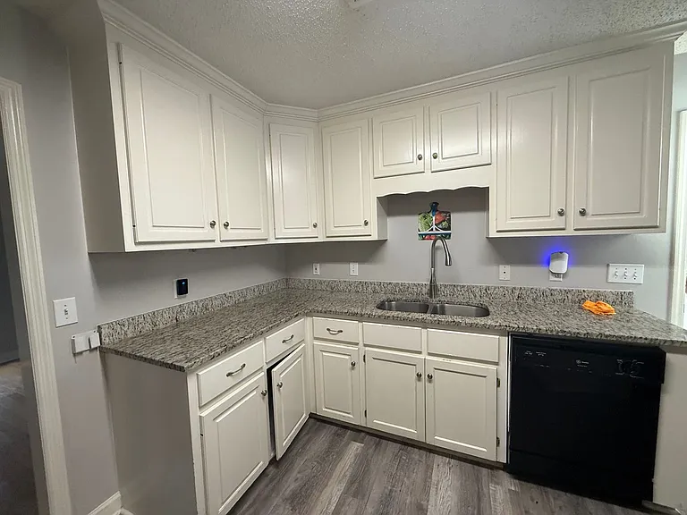 242 Turtle Creek Dr — Photo 21