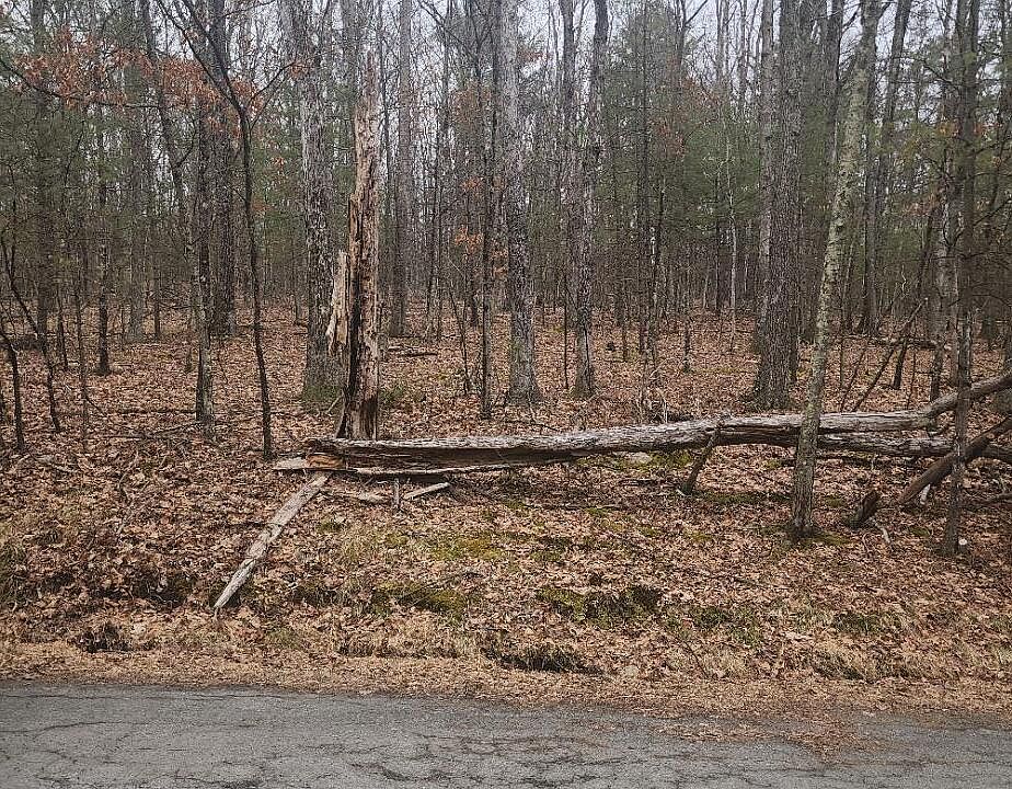 2nd image of LOT 341 Timber Ridge Dr