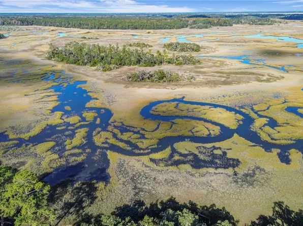 1261 Otter Slide Loop NE, Townsend, GA 31331