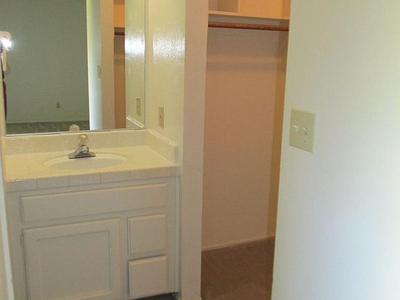 master bedroom vanity & walk-in closet