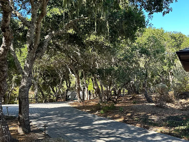 Quail Meadows Dr — Photo 20