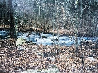 1st image of 0 Buck Mountain Rd