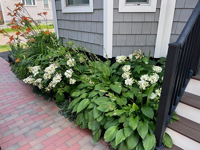I make sure your place has lots of flowers. (o:
