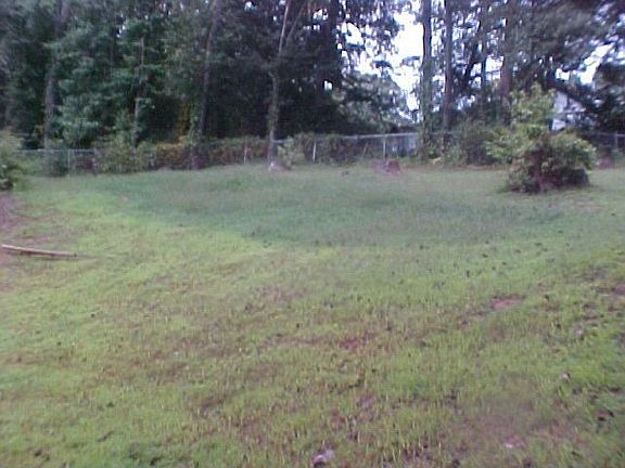 Large, fenced back yard