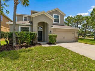 12410 Latchford Stream Pl, Riverview, FL 33579