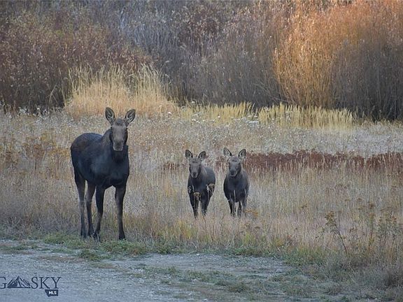 3rd image of 770 Mountain Moose Rd