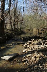 7226 County Road 35, Bremen, AL, 35033