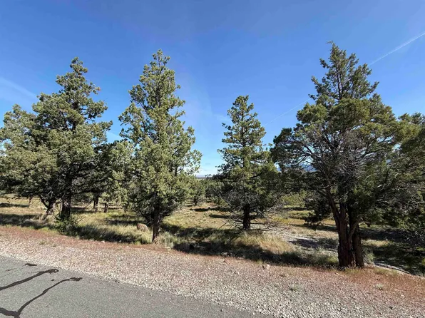 LOT 25 Palomino Rd, Weed, CA 96094