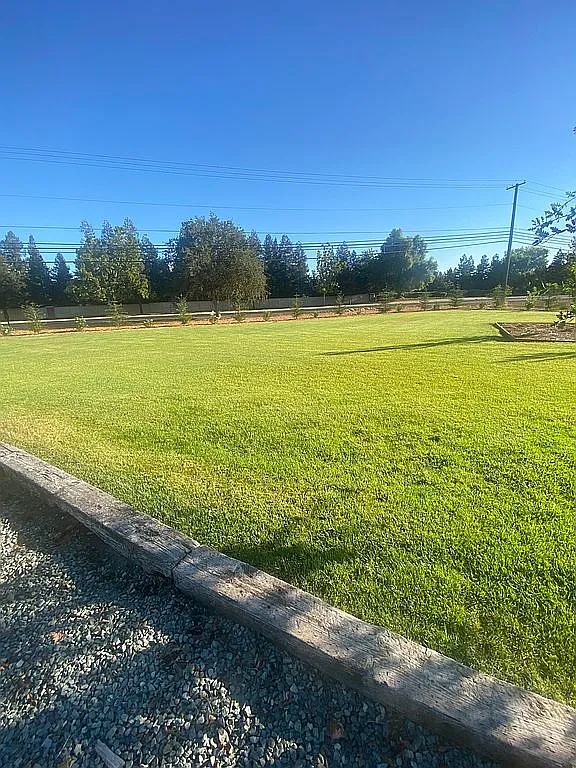 10300 Calvine Rd photo 1