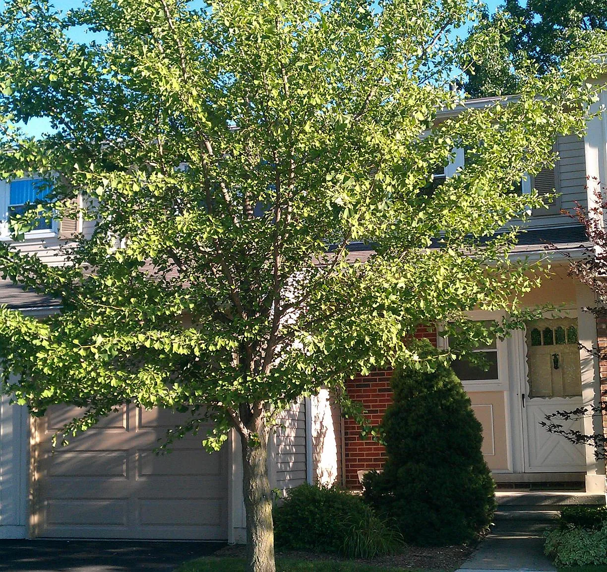 2 bed, 1.5 bath, 1254 sqft, $1,850 — Photo 1