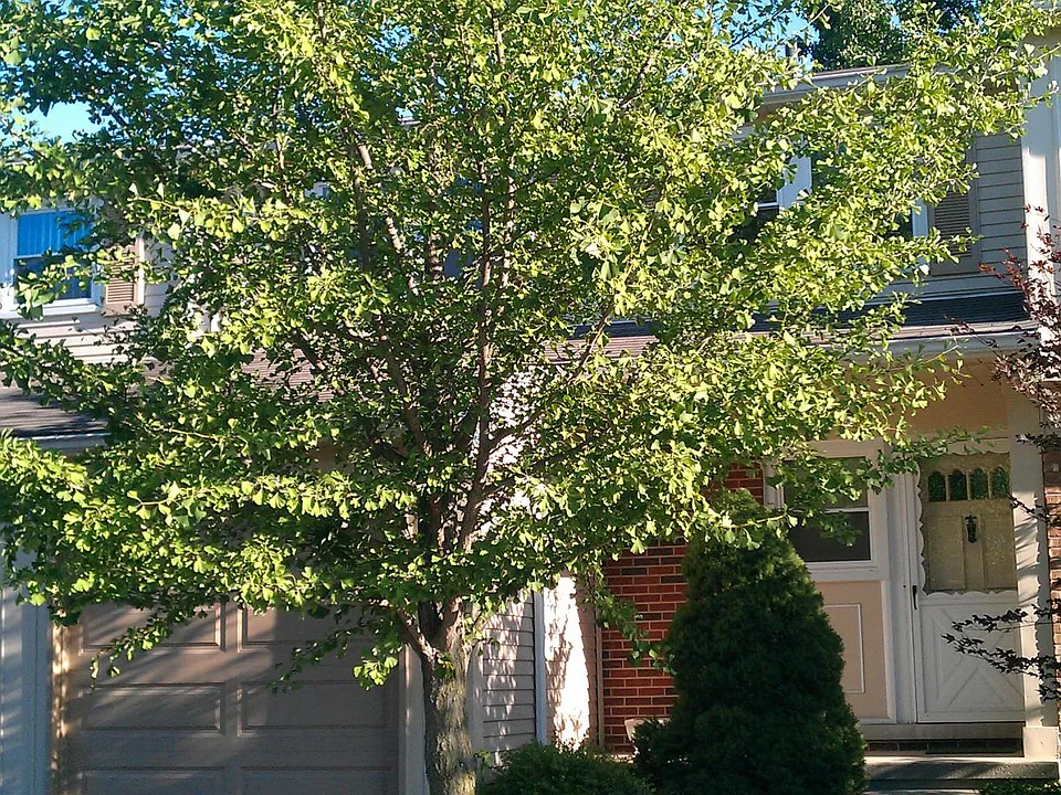 5189 Buckingham
