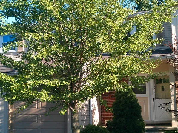 5189 Buckingham, Troy, MI