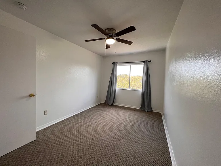 329 Orchid Dr — Photo 9