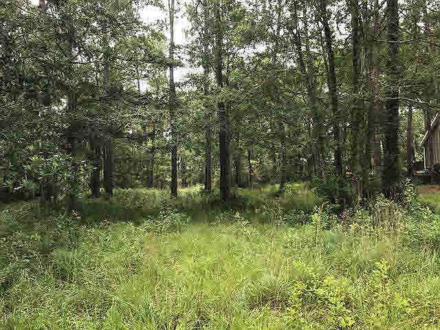 1st image of 759 Bear Creek Dr