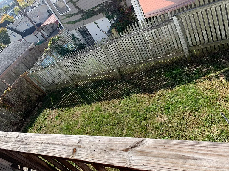 Back yard